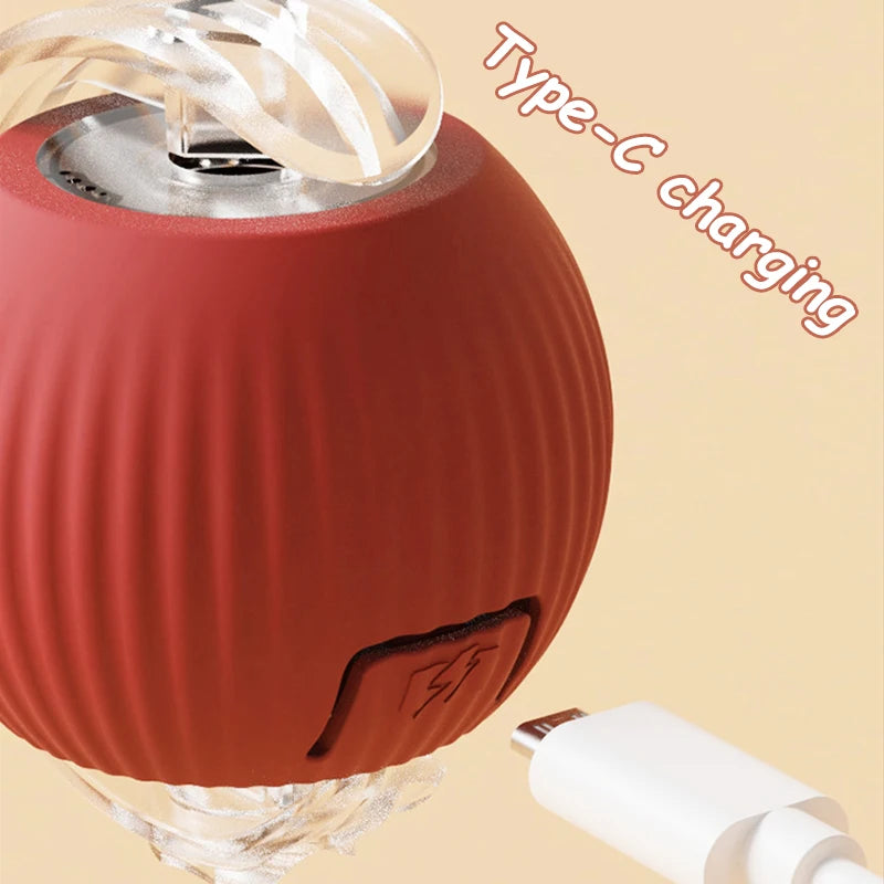 Interactive Rolling Ball Toy
