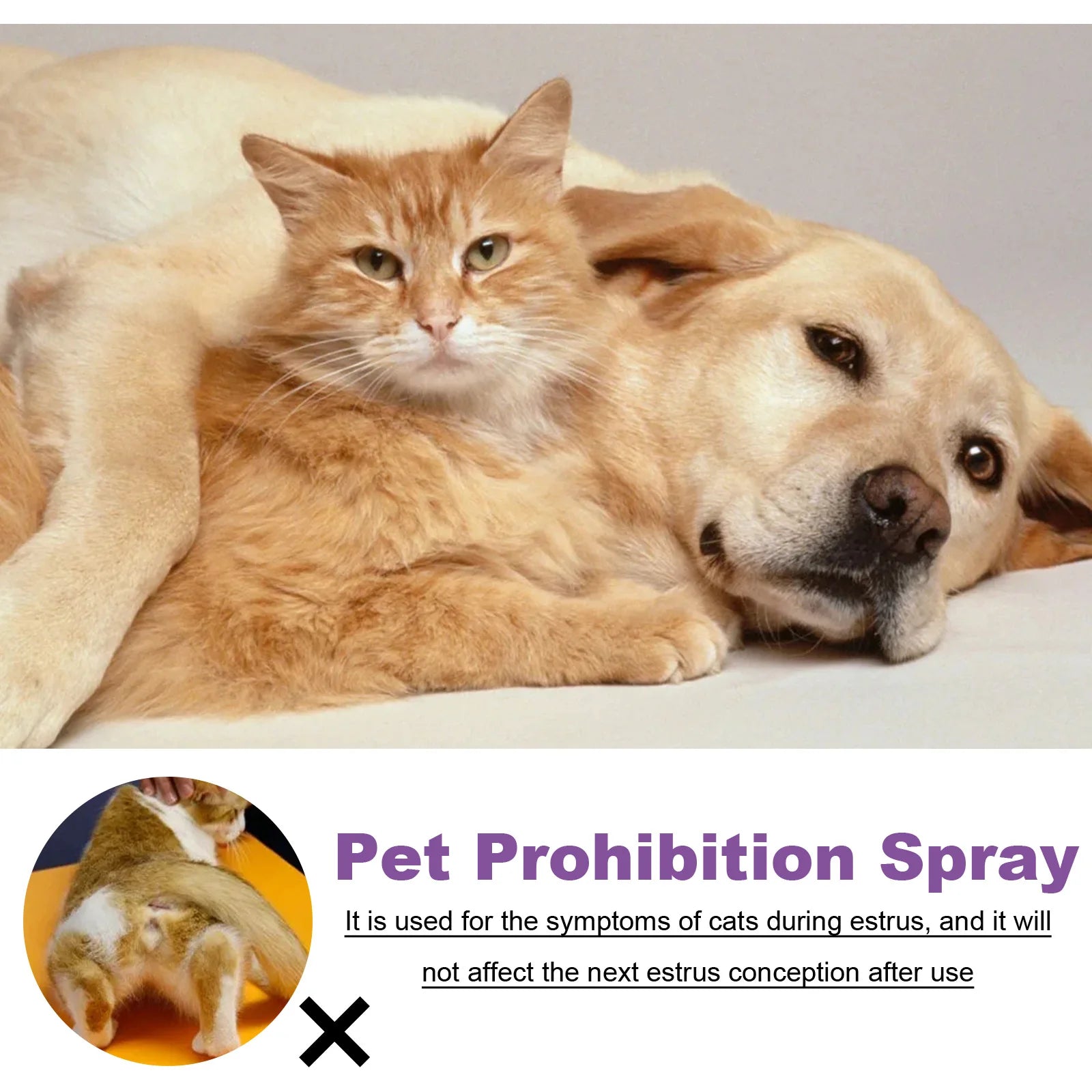 Pet Calming Spray
