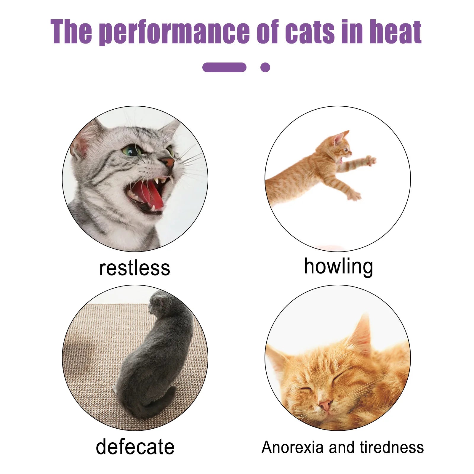 Pet Calming Spray