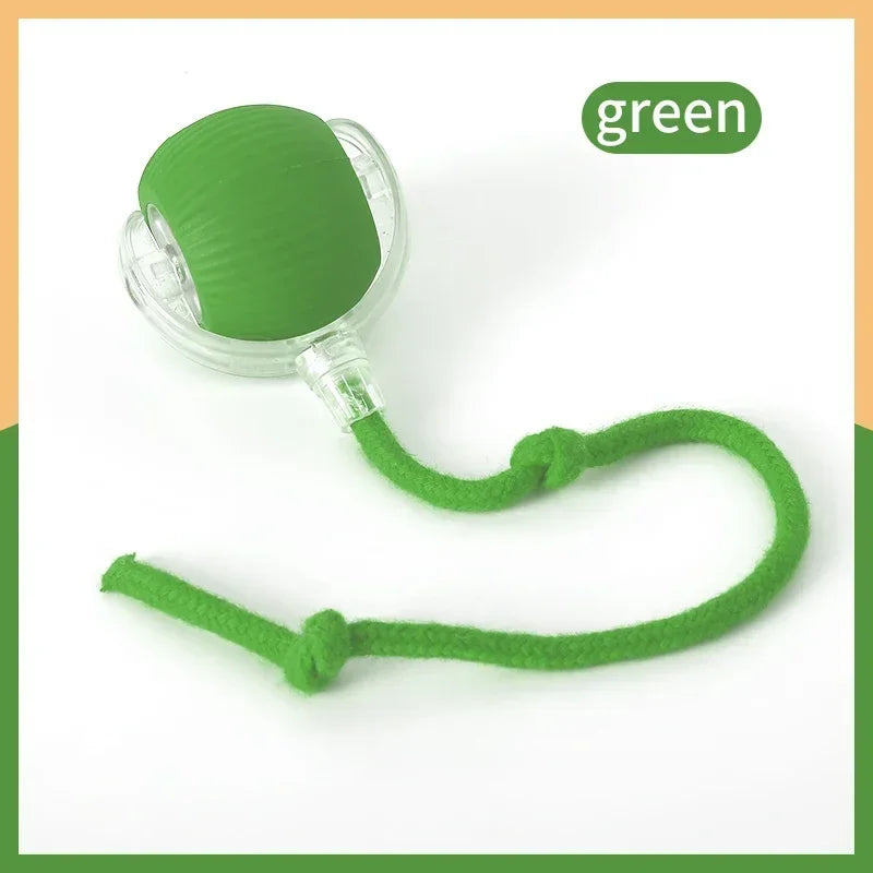 Interactive Rolling Ball Toy