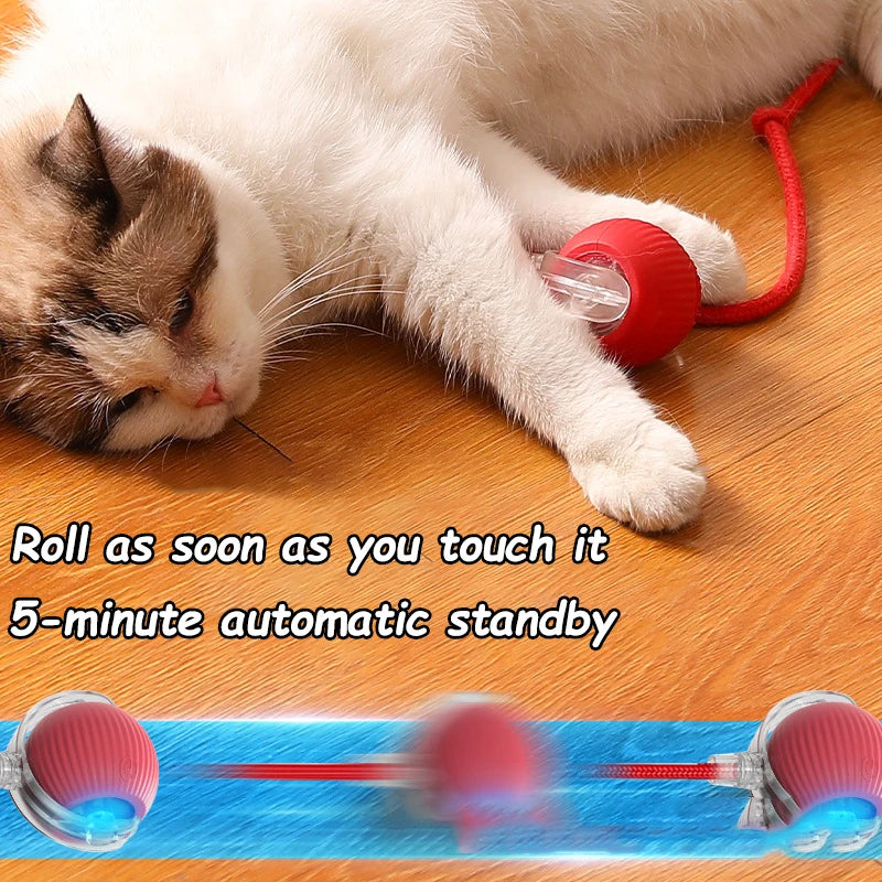 Interactive Rolling Ball Toy