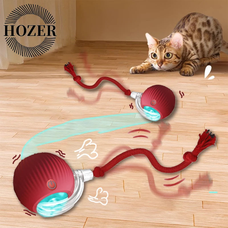 Interactive Rolling Ball Toy