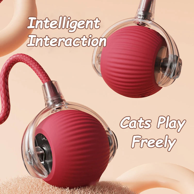 Interactive Rolling Ball Toy