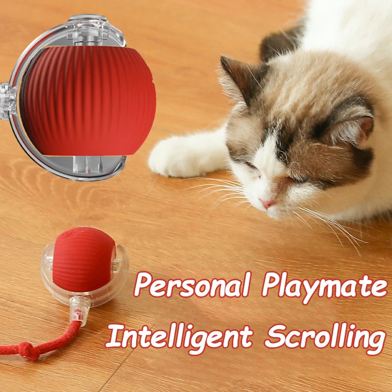 Interactive Rolling Ball Toy