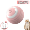 Interactive Rolling Ball Toy