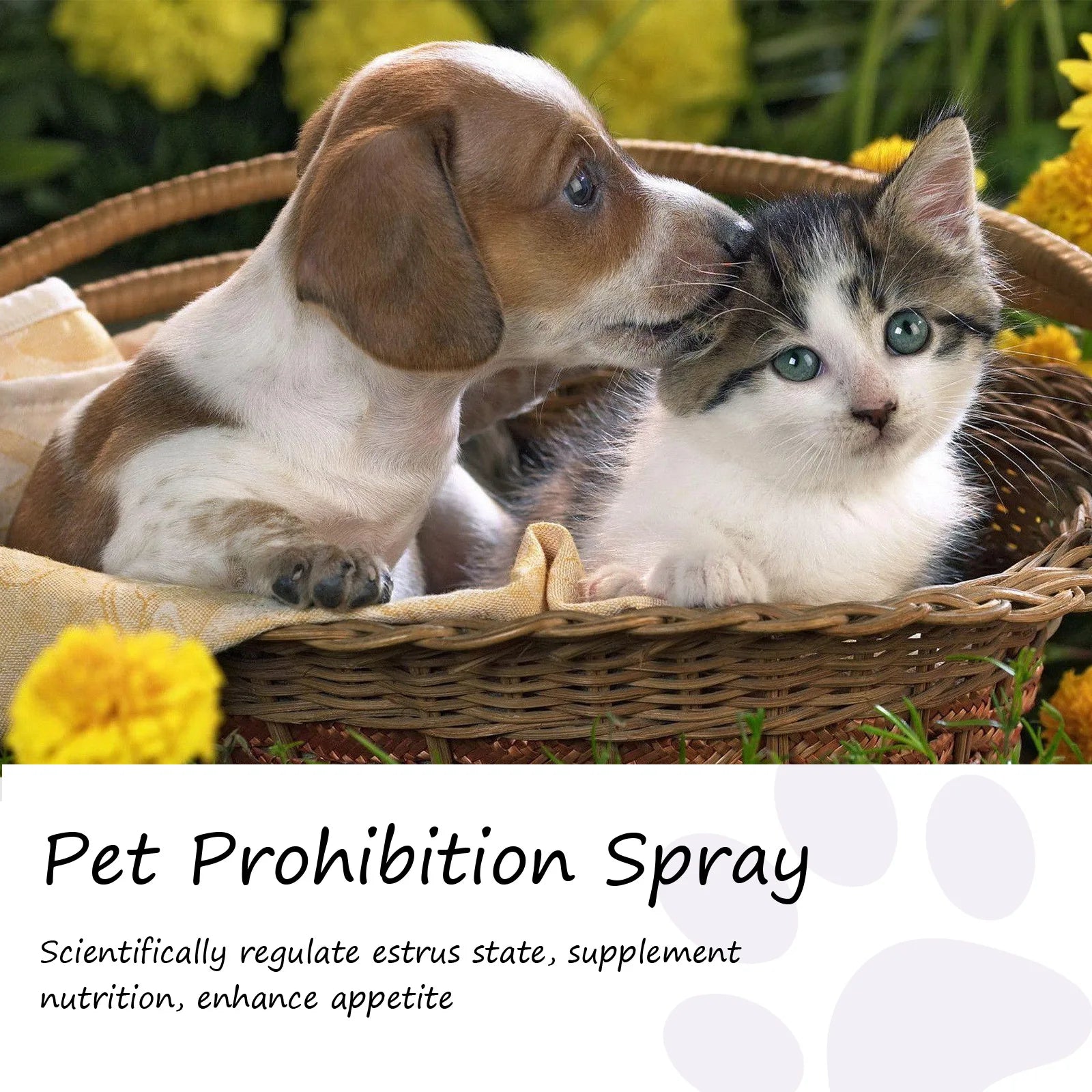 Pet Calming Spray