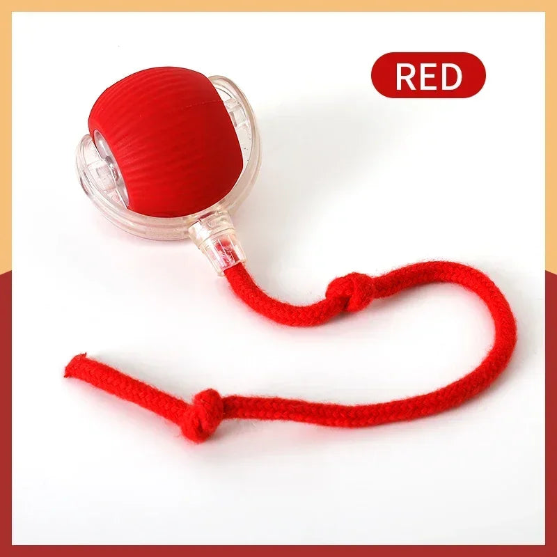 Interactive Rolling Ball Toy