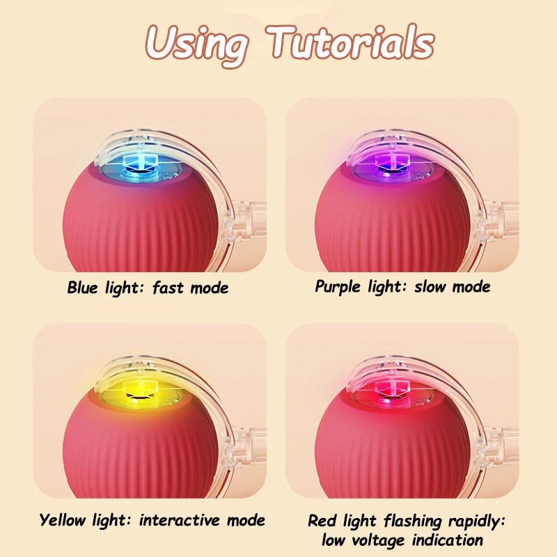 Interactive Rolling Ball Toy
