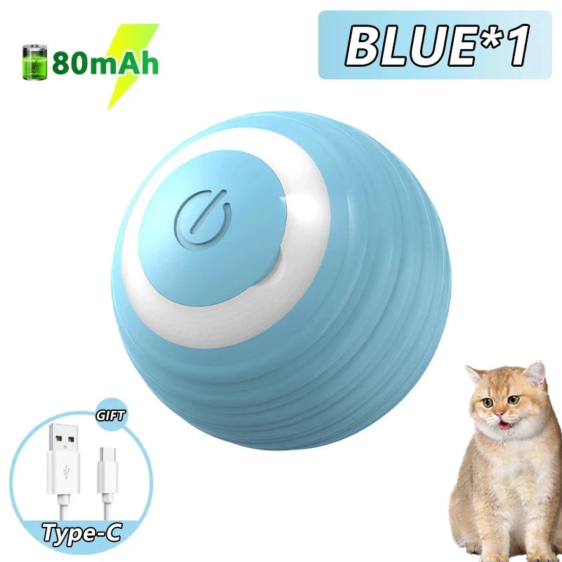 Interactive Rolling Ball Toy